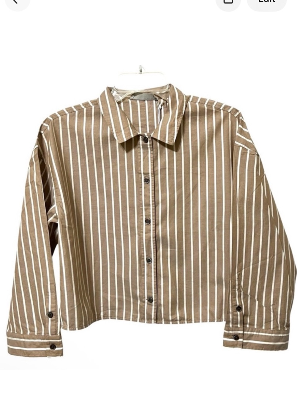 NWT Everlane Boxy Striped Button Front Shirt